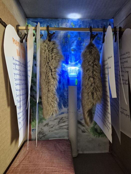 Szafa z kartonu Narnia