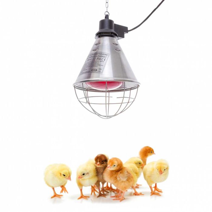 Lampa grzewcza sztuczna kwoka + promiennik czerwony 175 W ZESTAW