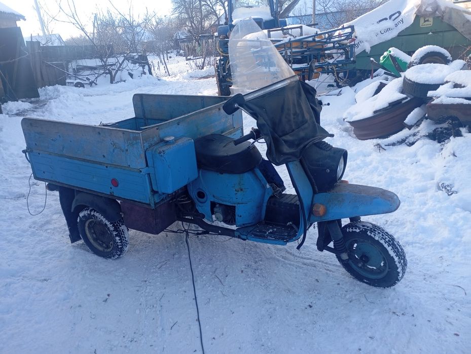 Продам муравей .