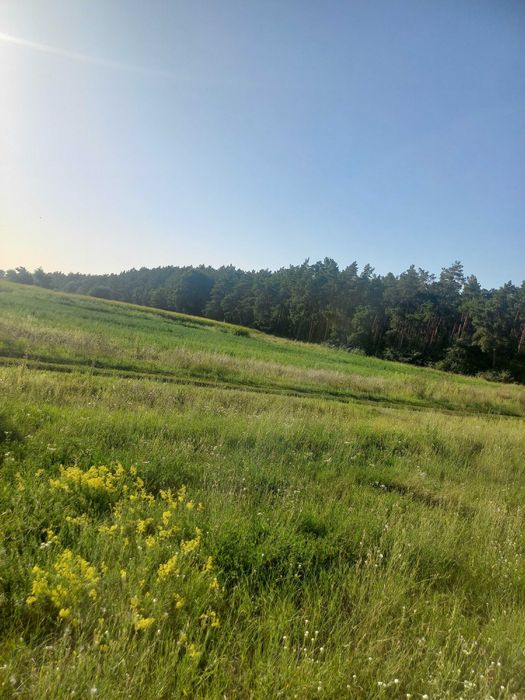 Земельна ділянка під забудову.с.Гланишів