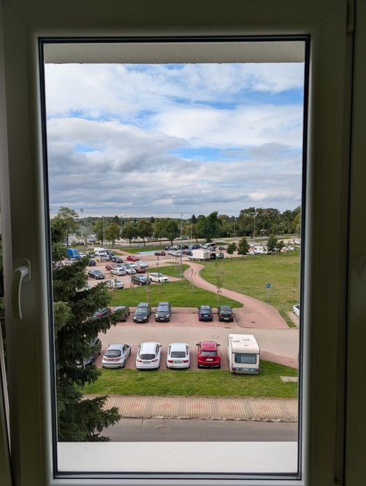 Zdjęcie 7