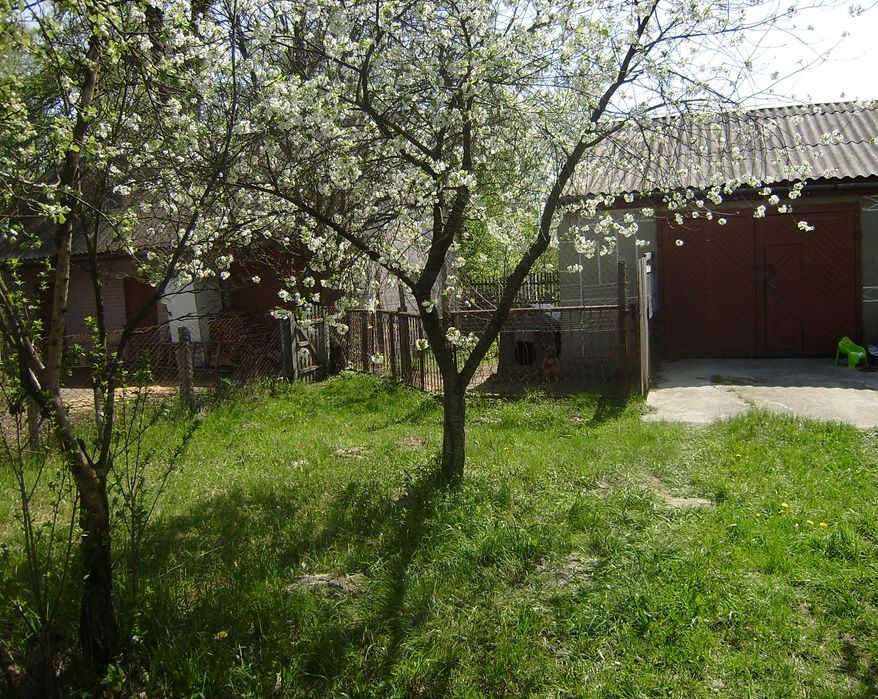 Продається великий будинок 140 м² (2 окремі входи) на земельній ділянці 12 соток біля соснового лісу в селищі Понінка