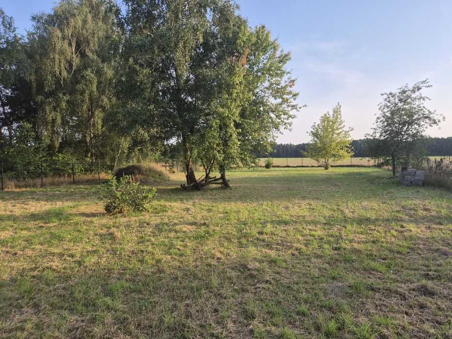 Działka Bednary gm. Pobiedziska