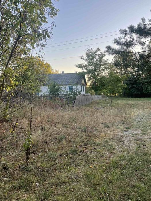 Будинок садиба біля лісу