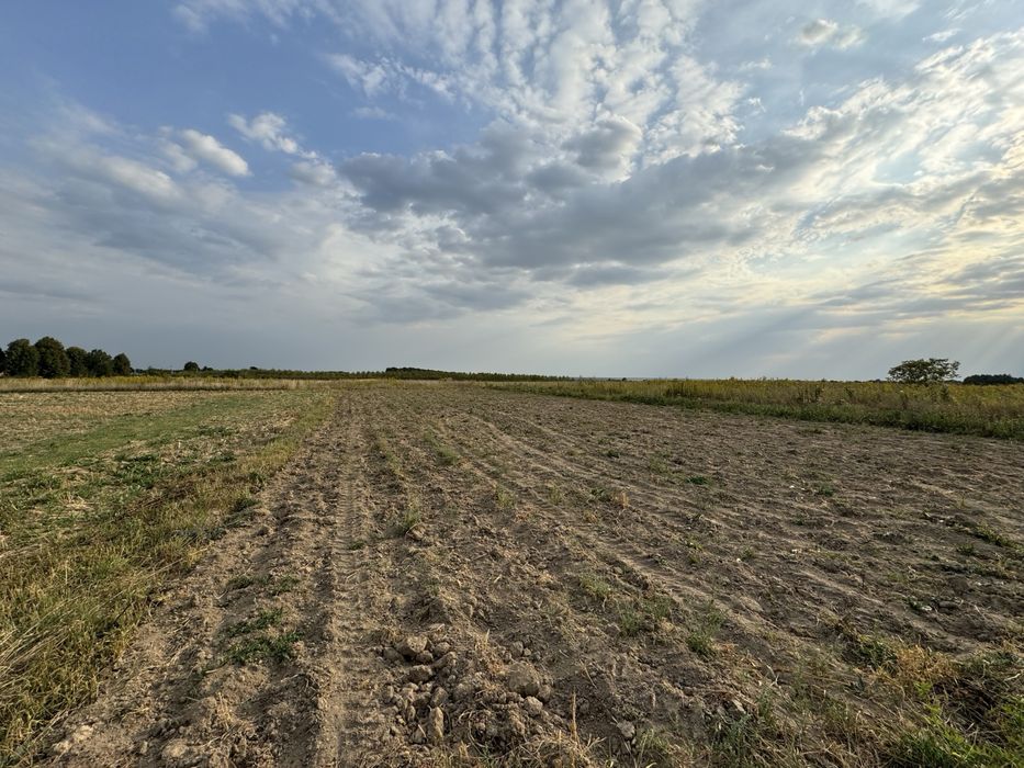 Продаж земельної ділянки. с. Колодисте. Без комісії