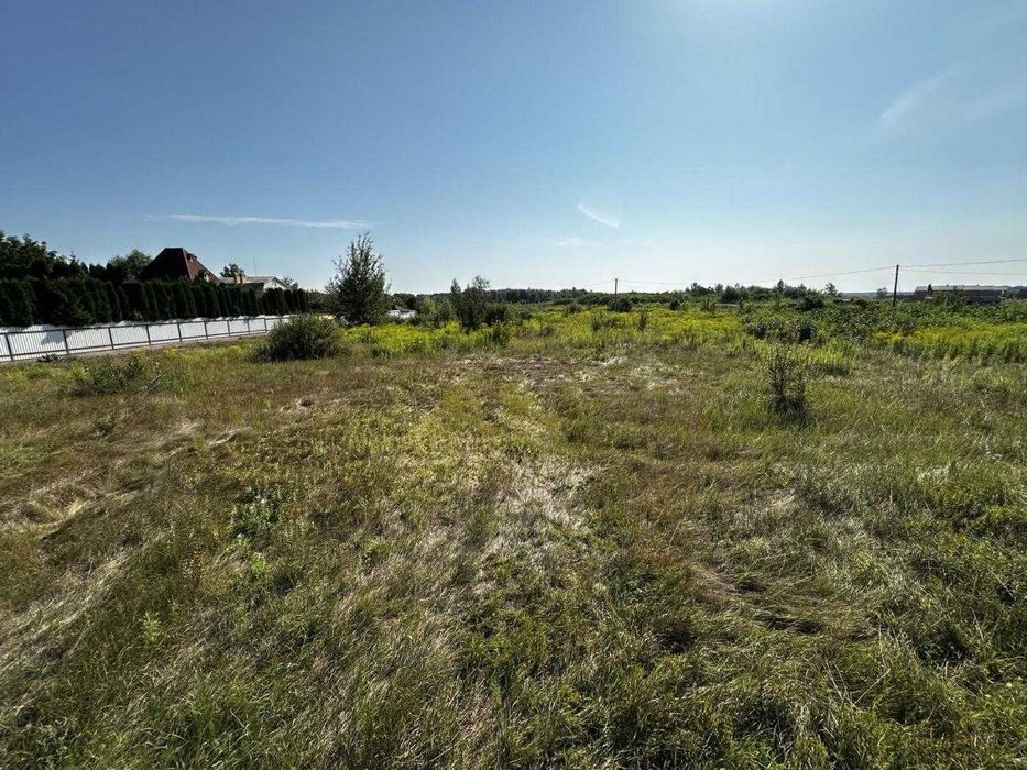 Продаж / Земля під індивідуальне будівництво / під забудову, 50 соток ділянка/ Піщана, Романків, заведено 40 кВт електроенергії