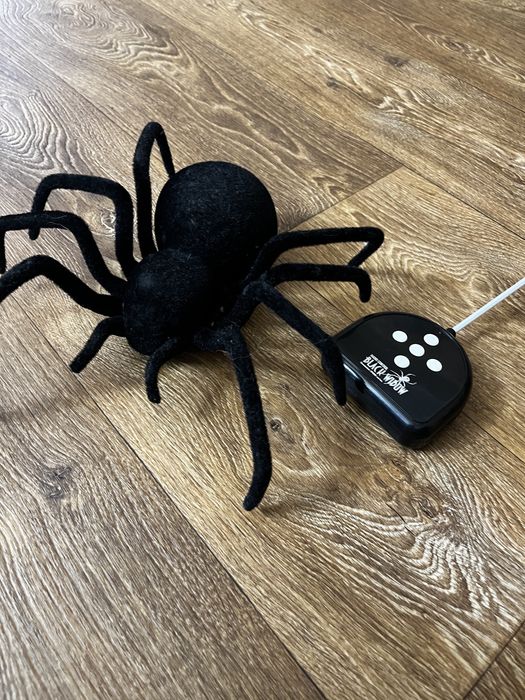 Катер на радіокеруванні, лодка , дитячий автомат , павук чорна вдова