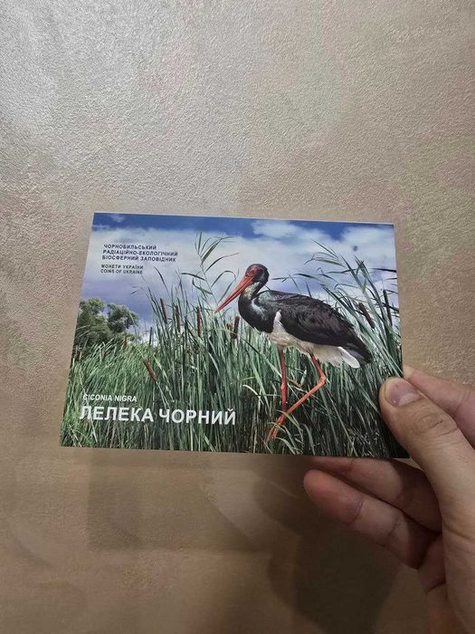 Монета Новорічна іграшка. Монети НбУ