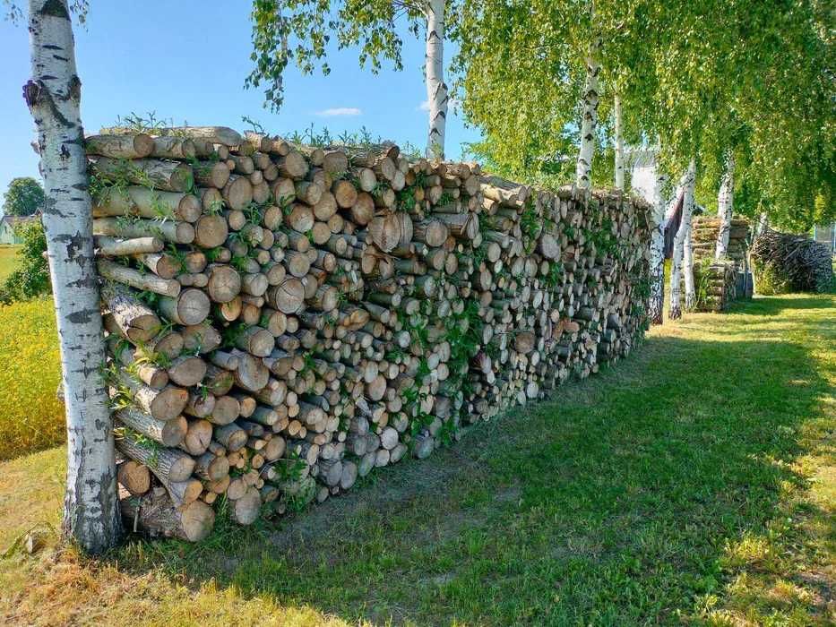 Wierzbowe drewno opałowe ~26m^3.