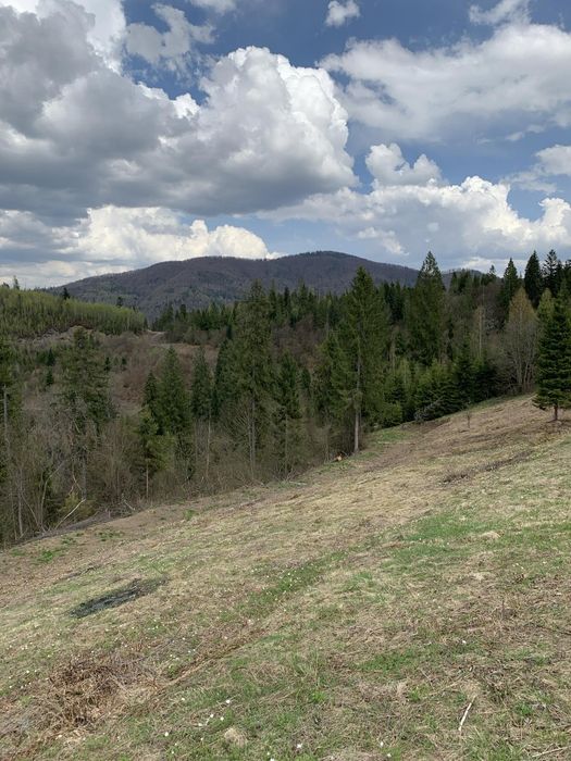 Продається земельна ділянка