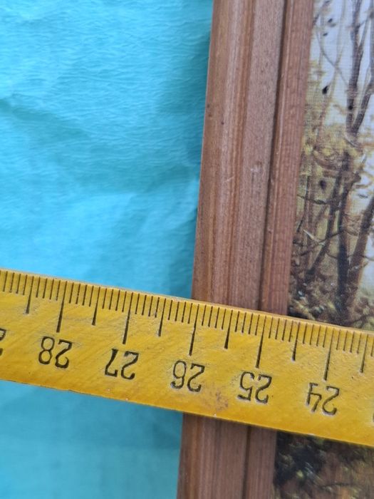 Z. Konarski Para łabędzi obrazek vintage