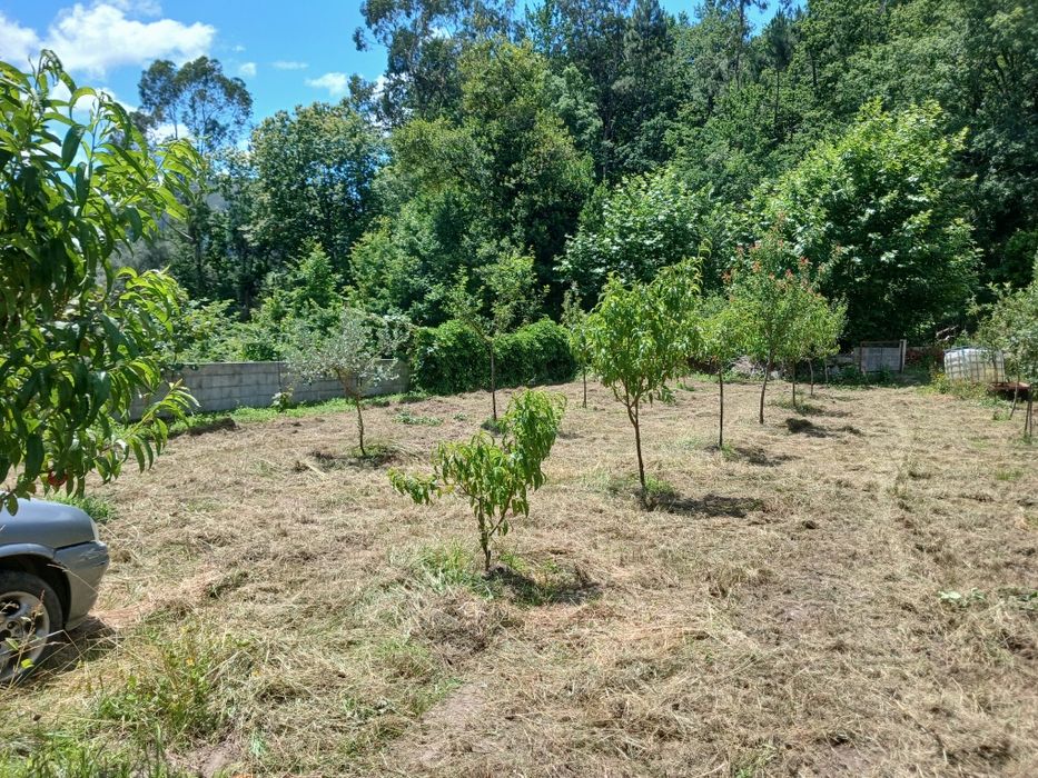 Vendo terreno ( dois artigos rusticos)e casa para reconstruir (artigo urbano)