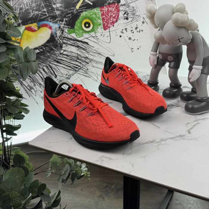 Кросівки Nike Zoom Pegasus 36 40.5 розмір E689