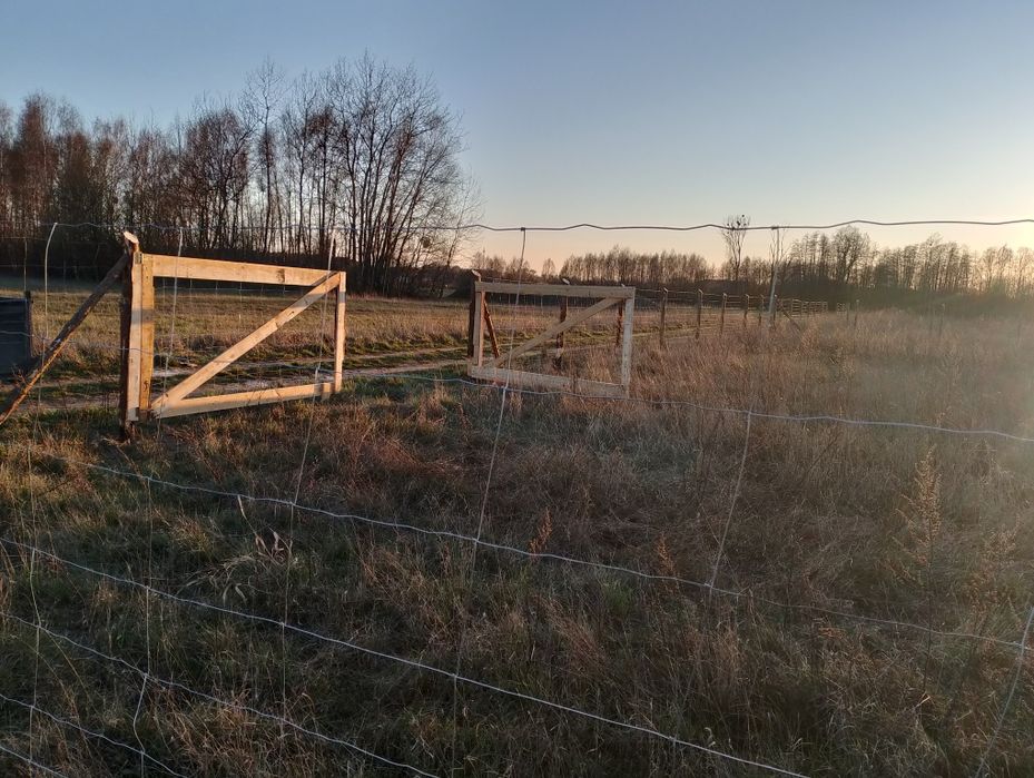 ogrodzenia z siatka leśna  tymczasowe. Posiadam również kołki