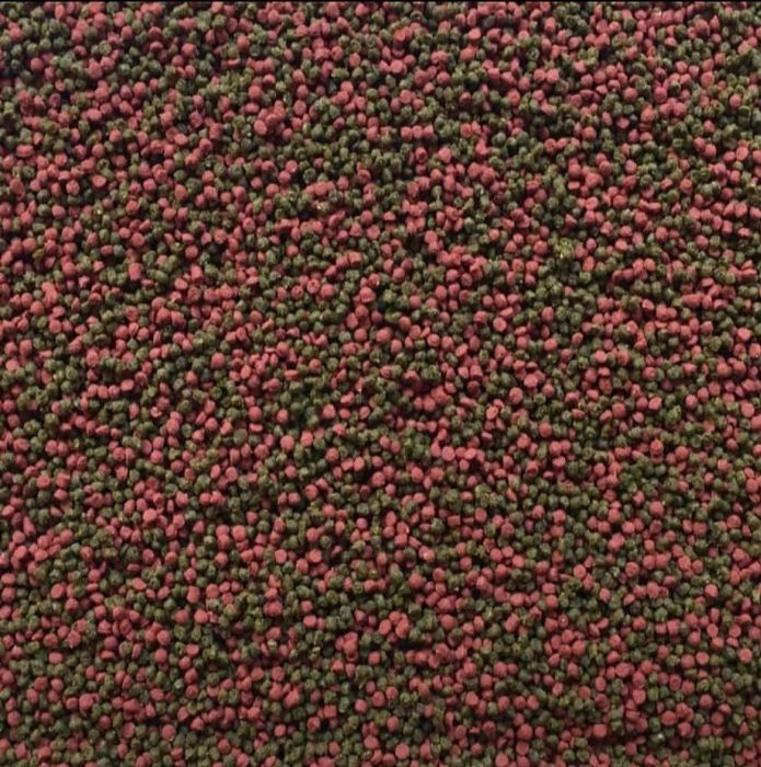 Alimentação para peixes "pro gran micro"