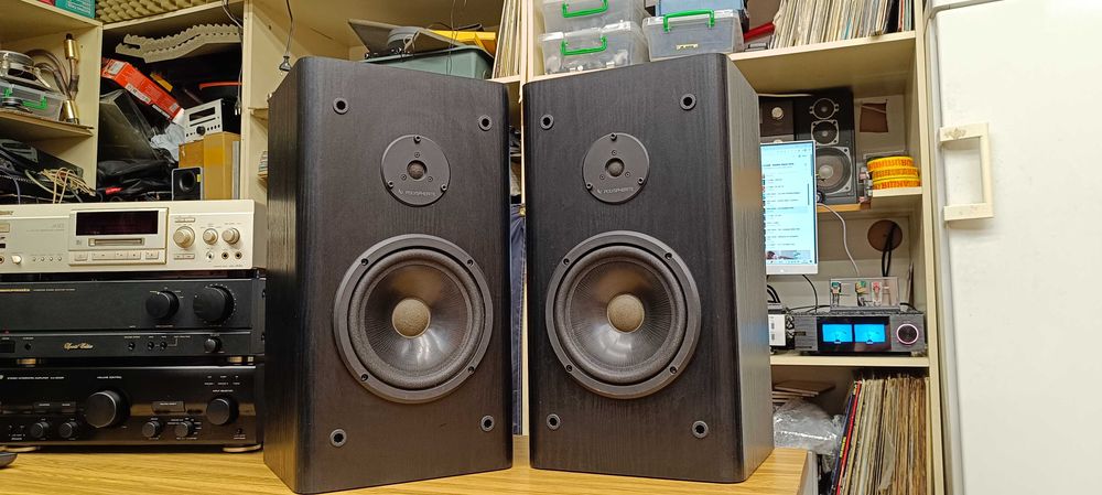 Акустика Infinity-RS 3001