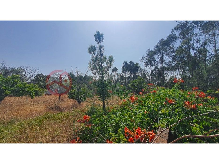 Rustic Land in Quinta da Lobateira, with Buildings, Fernão Ferro