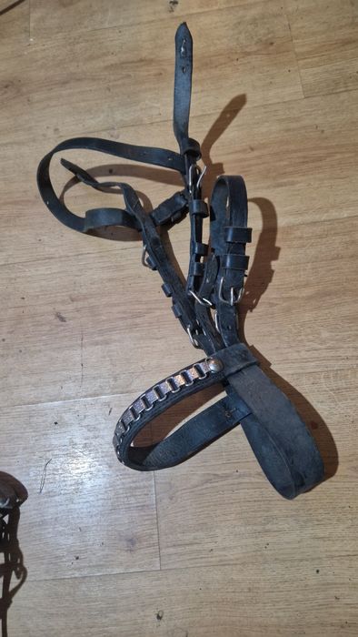 Ogłowie zaprzęgowe do konia