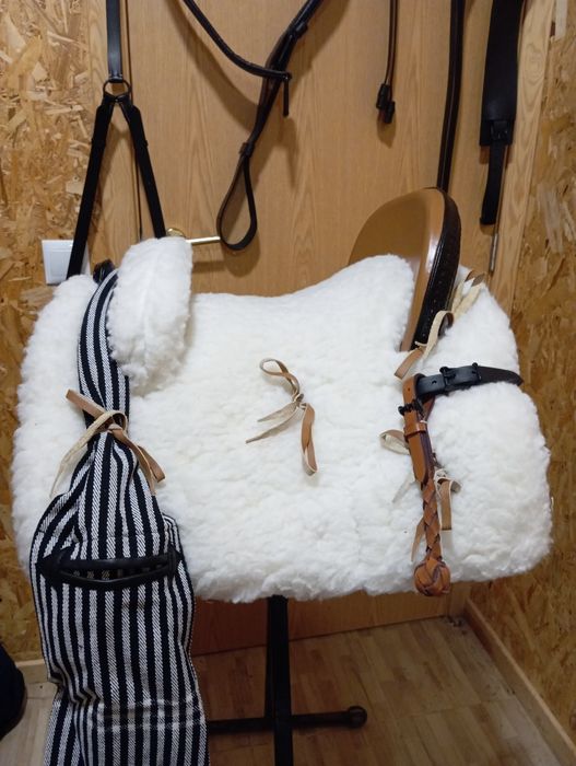 Vendo montura completa