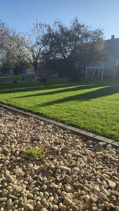 Nawodnienie, zakładanie trawników