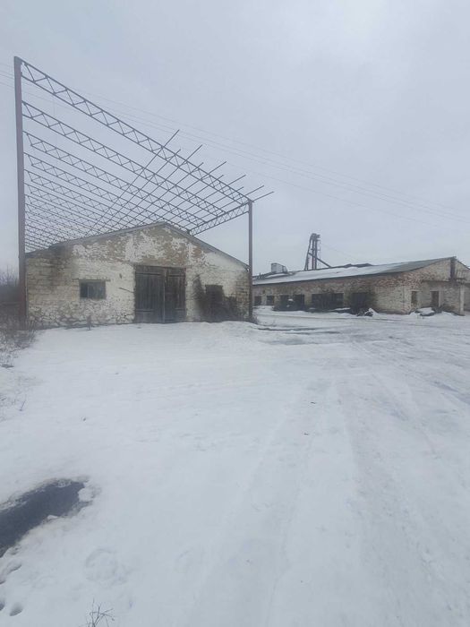 Майновий комплекс по переробці олійних культур