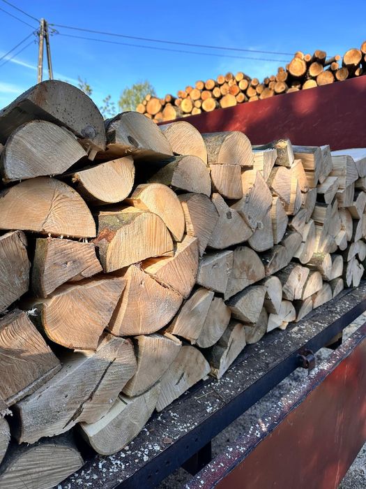 drewno Buk Brzoza Akacja Dąb Jesion