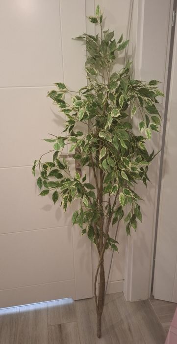 Fikus benjamin sztuczna roślina 180cm