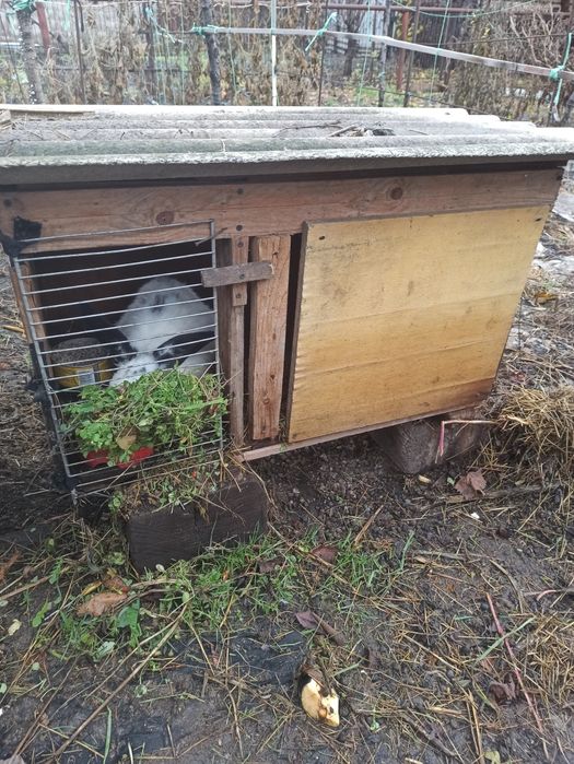 Продам клетки для кролей