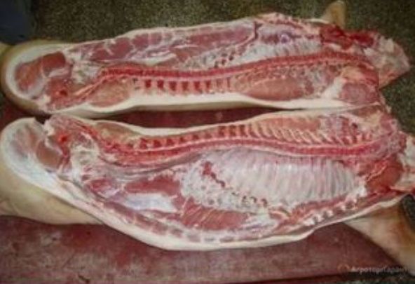 Прода домашне мясо свеней