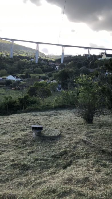 Limpeza de terreno