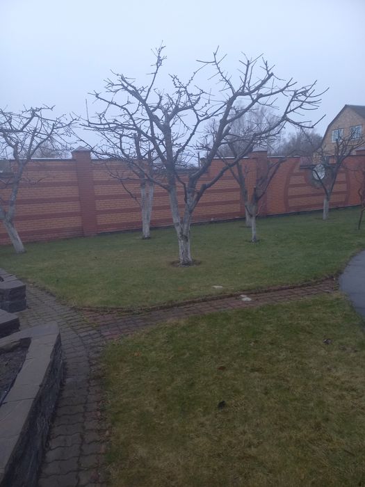 ОБРІЗКА, ОБРОБКА  плодового саду  Васильків, р-н