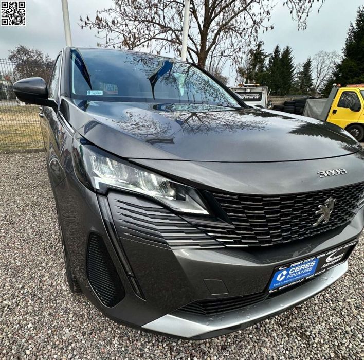 Peugeot 3008 Ekonomiczny -Salon PL -Śliczny!