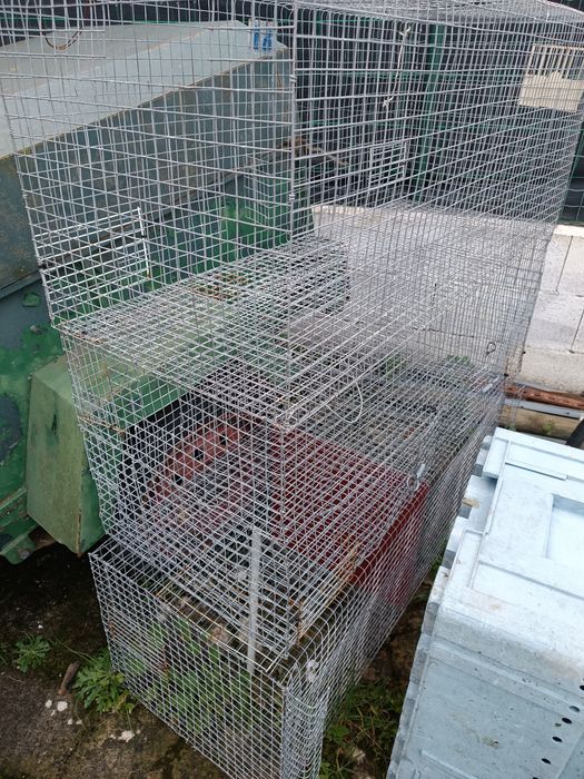 Gaiolas para aves de medio porte