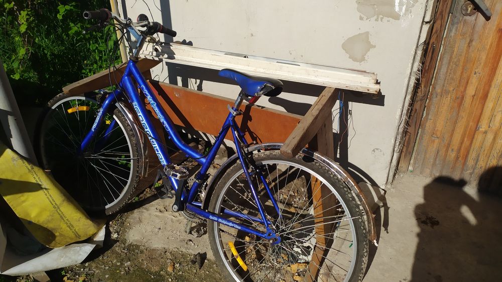 Велосипед на полном ходу