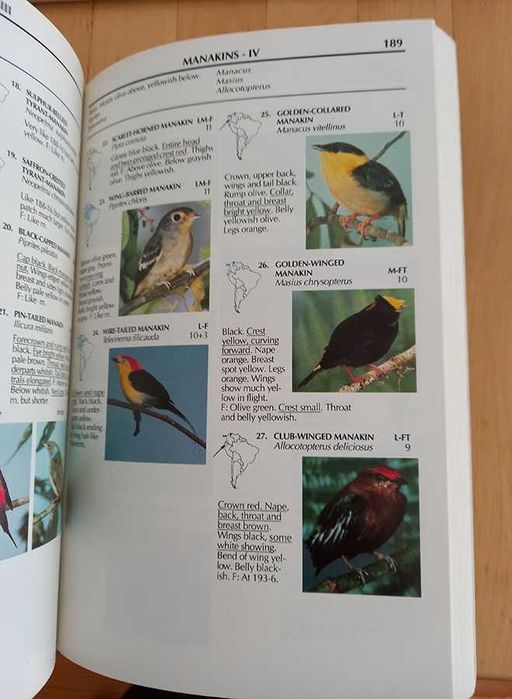 Vários guias de aves