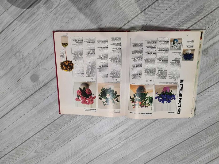 Книга У світі квітів Халіна Хейтц