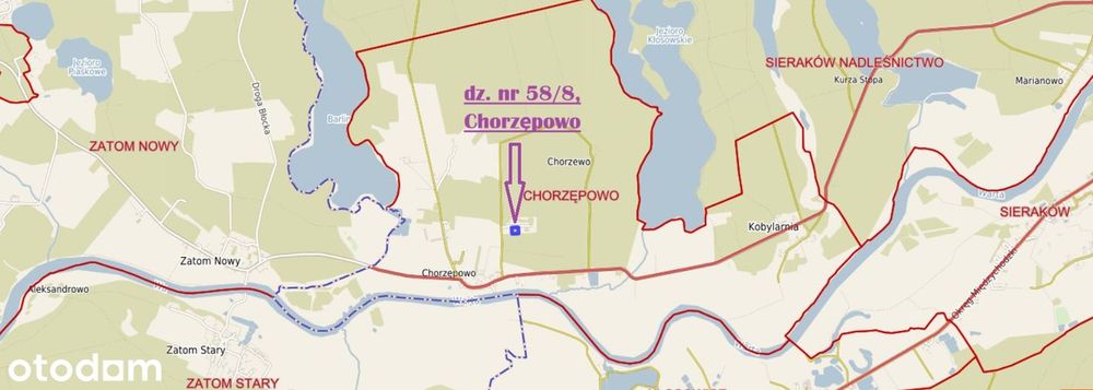 Chorzępowo działka budowlana 2295 m2 JEZIORO pod lasem MPZP Sieraków