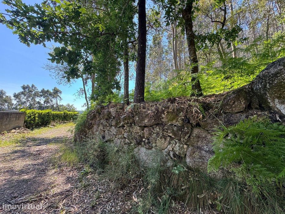Terreno com 8000m2 em  Vila Cova — Vila Cova E Feitos, Braga