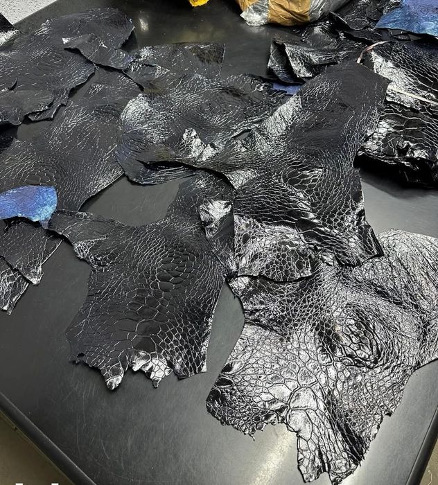 Шматки шкіри МорсьоїЇ  ЧЕРЕПАХИ