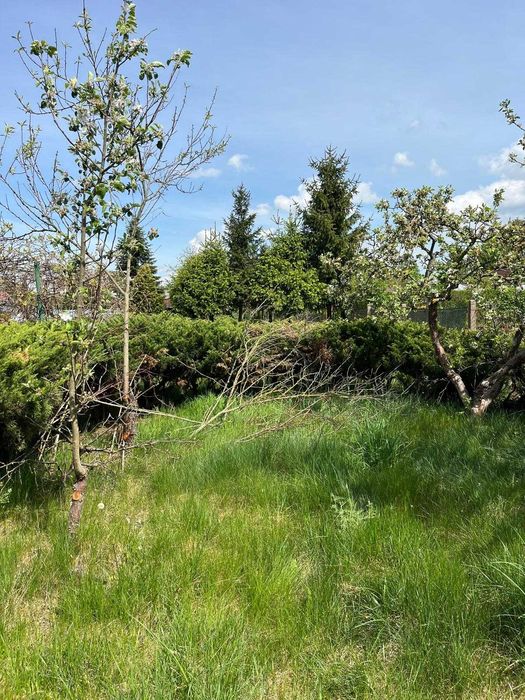 Działka ROD 459 m² ul. Grudziądzka - Więcej