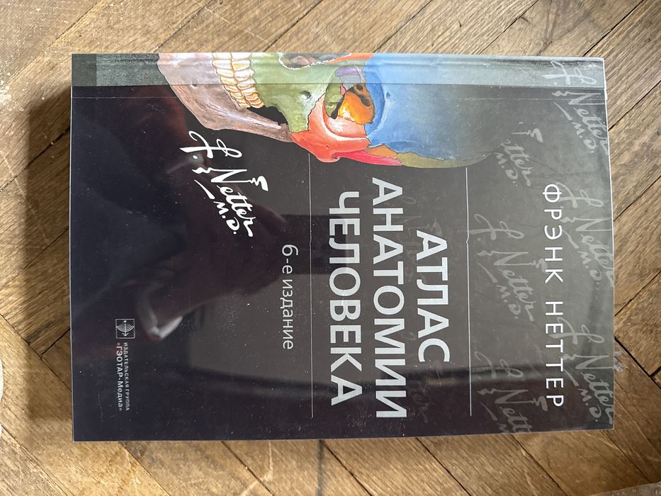 Полный набор для начинающего массажиста