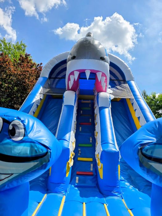 Dmuchańce i animacje