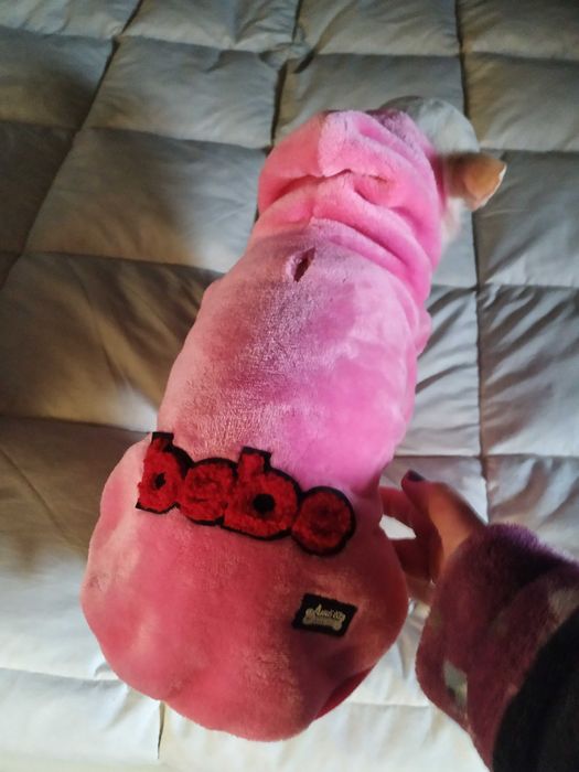 Casacos para cão pequeno ou medio