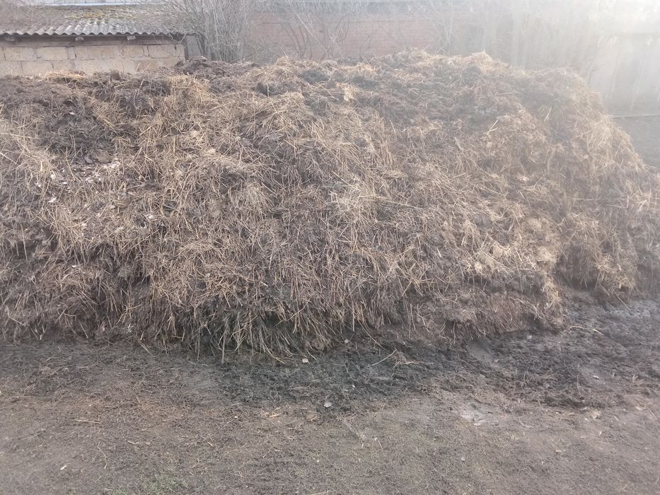 Продам навоз коров'ячий.