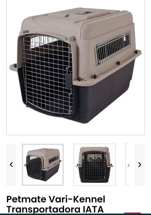 Transportadora como nova