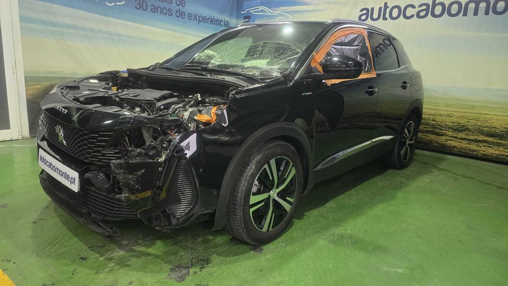 Peugeot 3008 1.6 Hybrid - Salvado