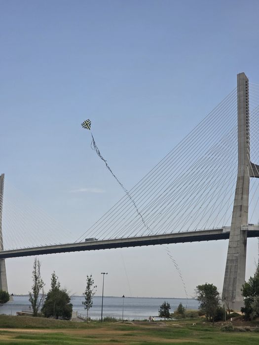 Pipas - papagaio - raia - raias com linha 10 corrente