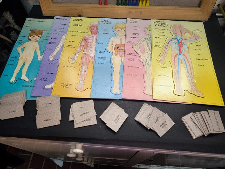 Jogo Anatomia Majora