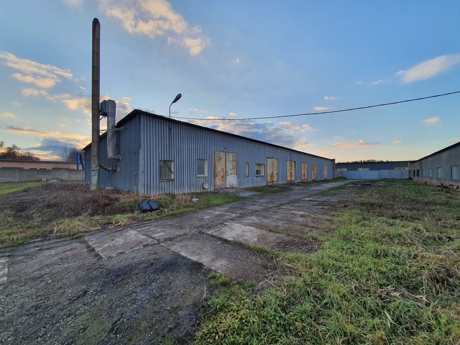 Hala magazynowa 600m + 50 arów  wynajmę
