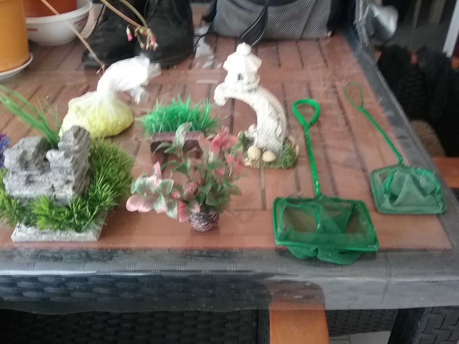 02 aquarios totalmente equipados